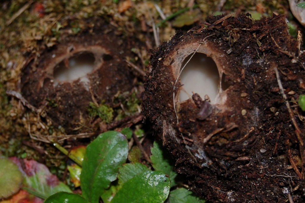 Qualche segno di vita....